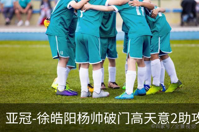 亚冠-徐皓阳杨帅破门高天意2助攻 申花2-1淡滨尼流浪者